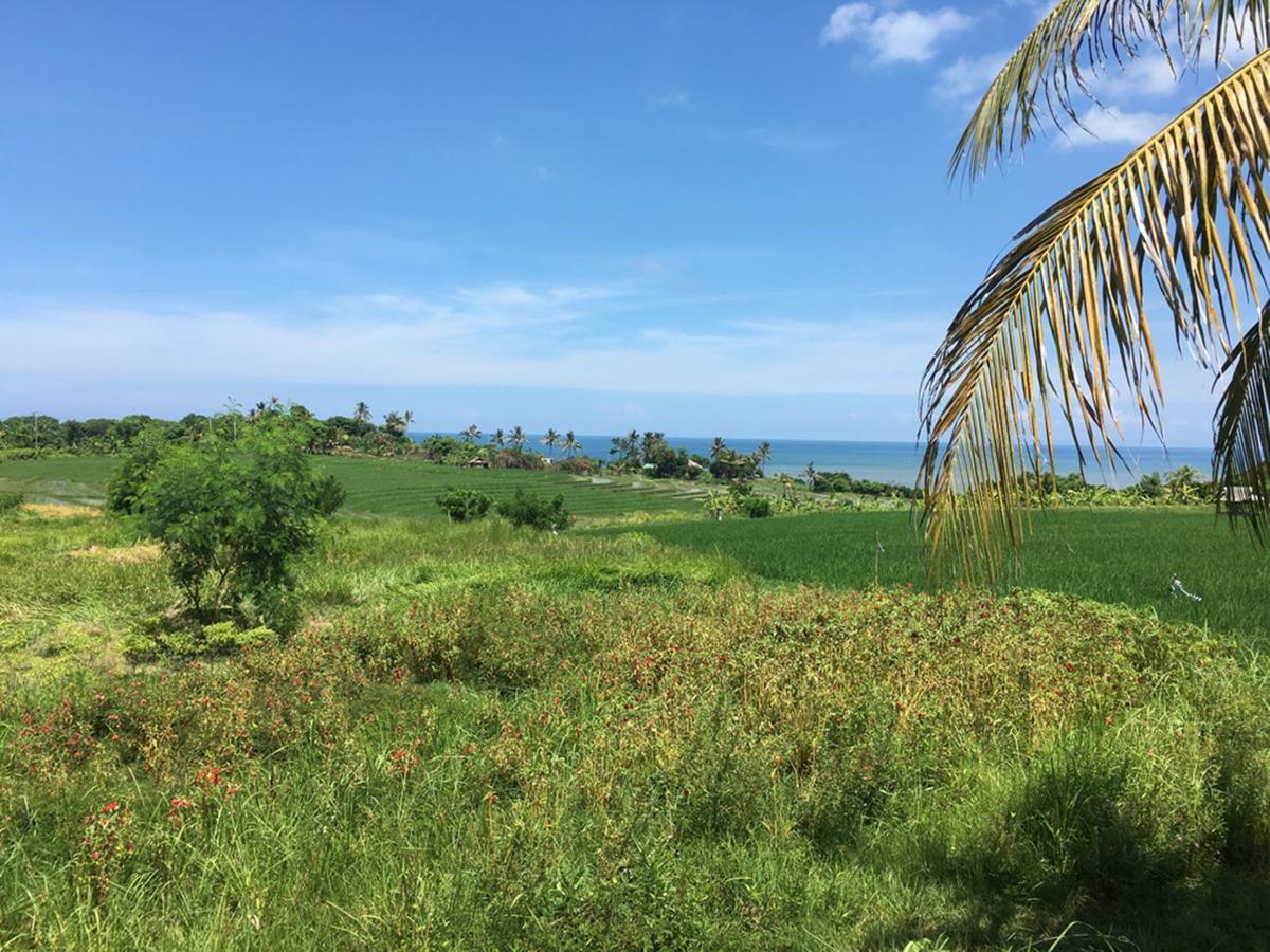 Exotica Bali Villa Canggu Eksteriør billede
