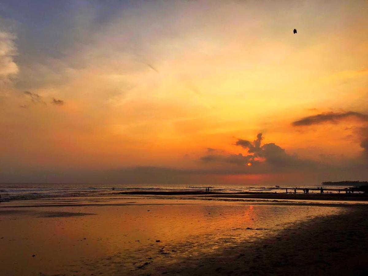 Exotica Bali Villa Canggu Eksteriør billede